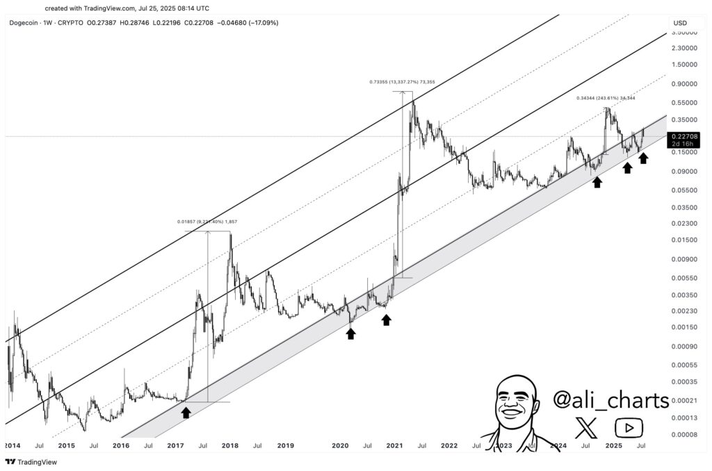 dogecoin price