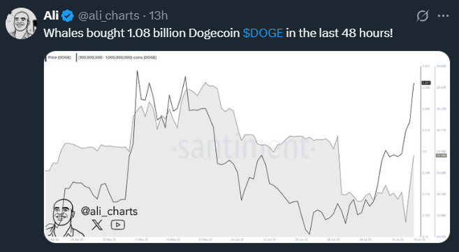 การซื้อ Dogecoin ล่าสุดของวาฬ