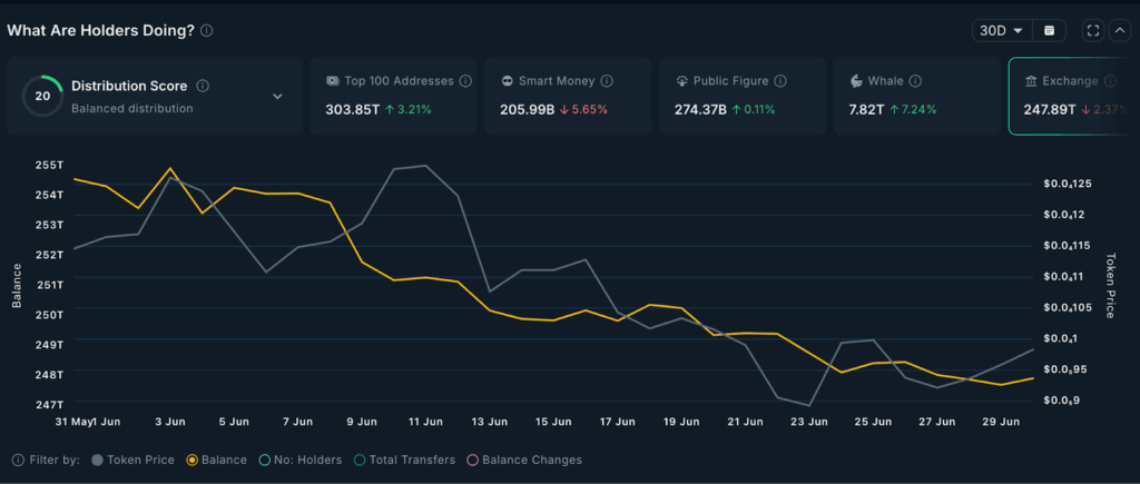 Pepe exchange balances