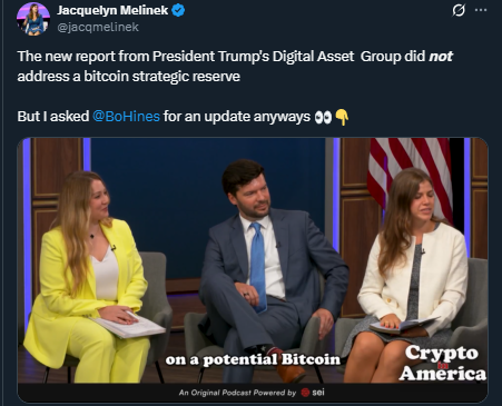 Bo Hines on Bitcoin strategy 