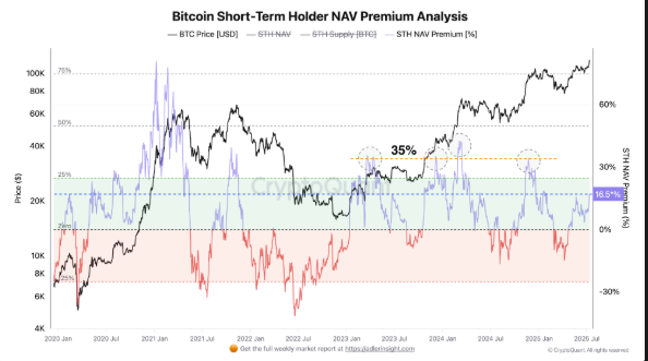 Bitcoin short-term holder NAV analysis.