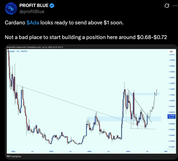 Analyst 