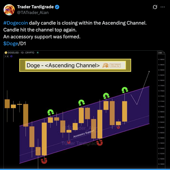 doge usd