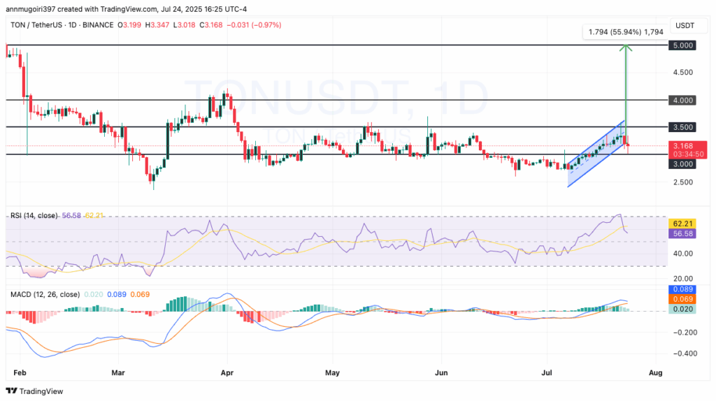 TON/USD Daily chart