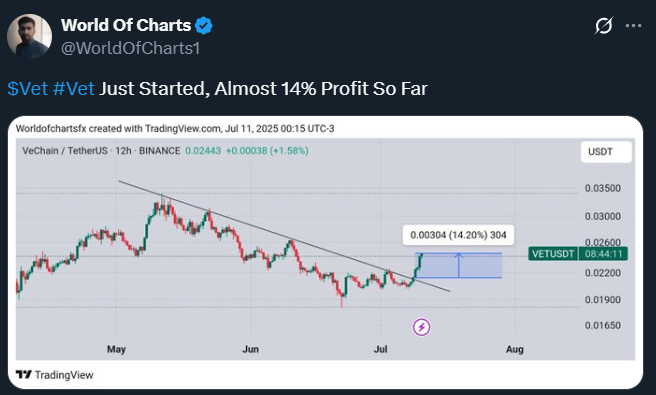 VET Price prediction,