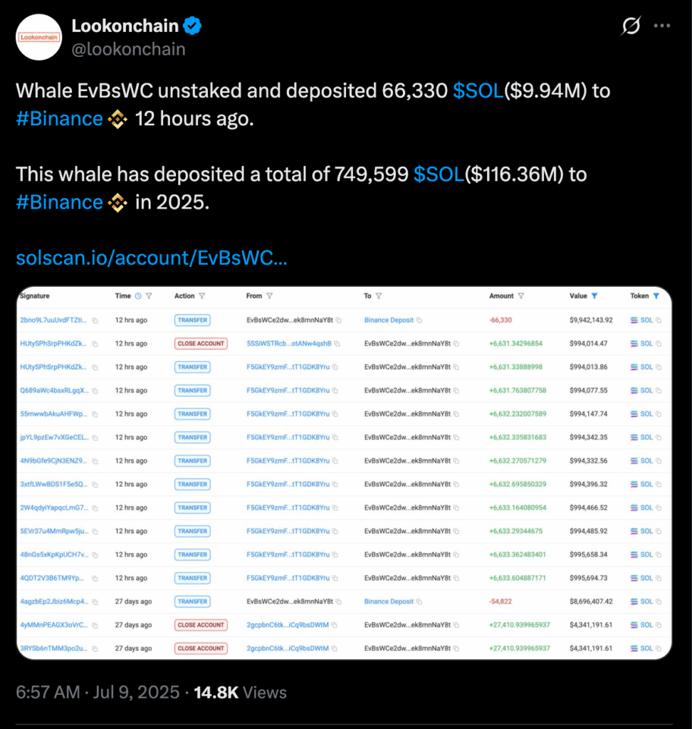 Whale Transfer Data 