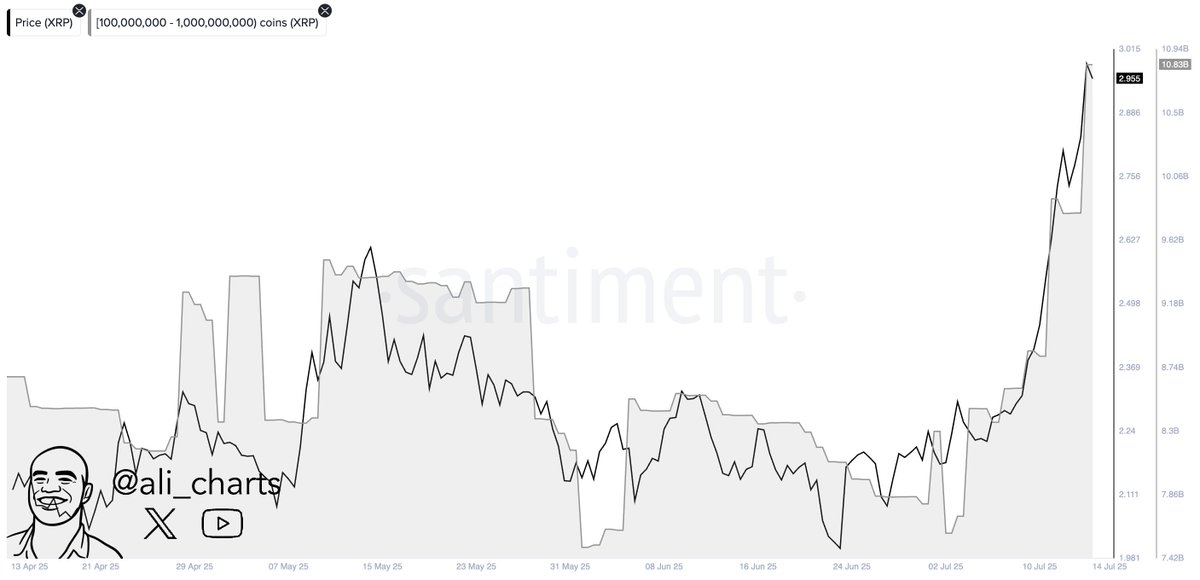 XRP Whale Activity Chart