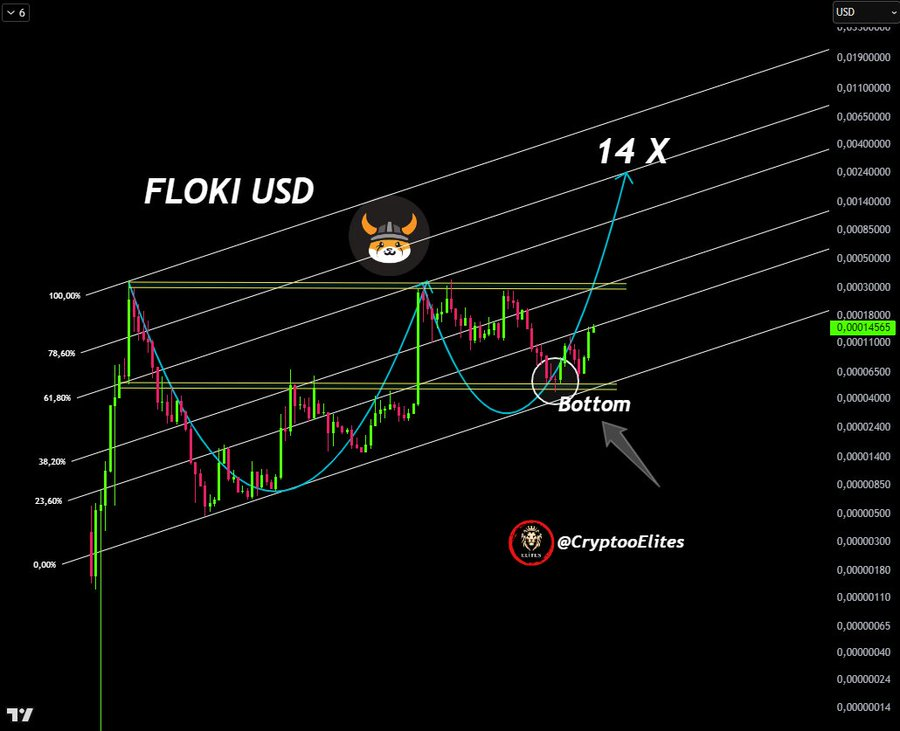FLOKI USD Chart