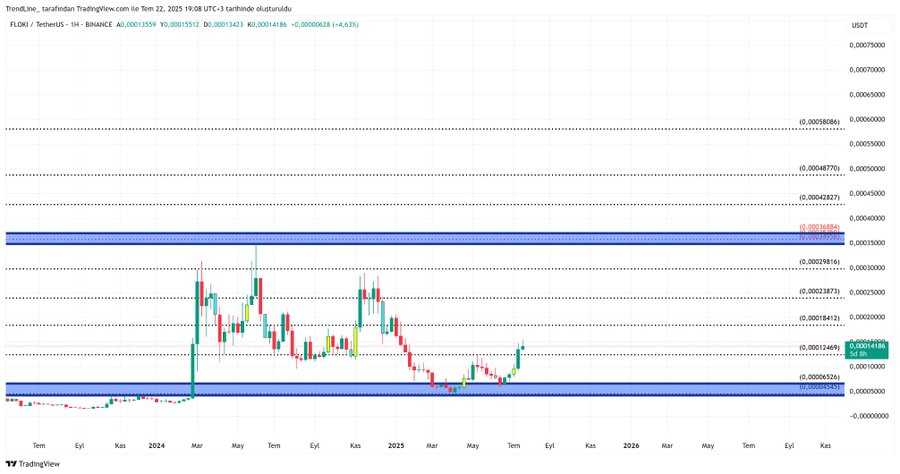 1-Hour FLOKI/USD Chart