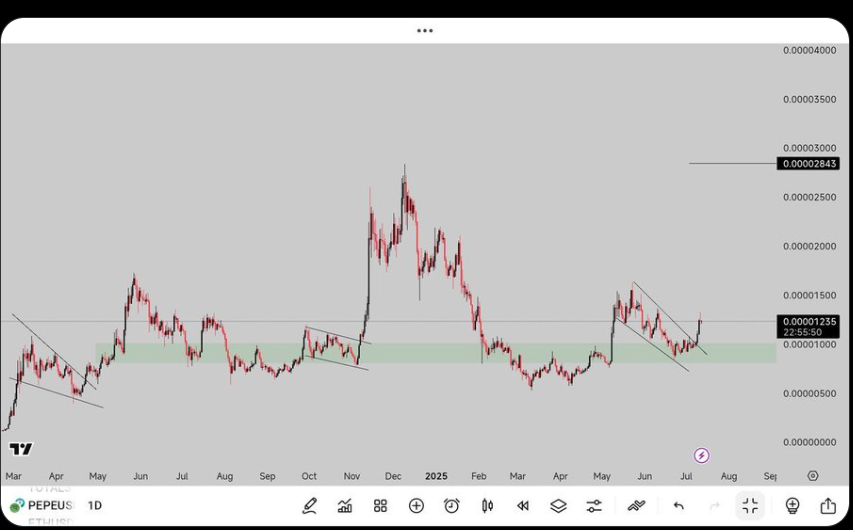 PEPE Coin Price 1-Day Chart