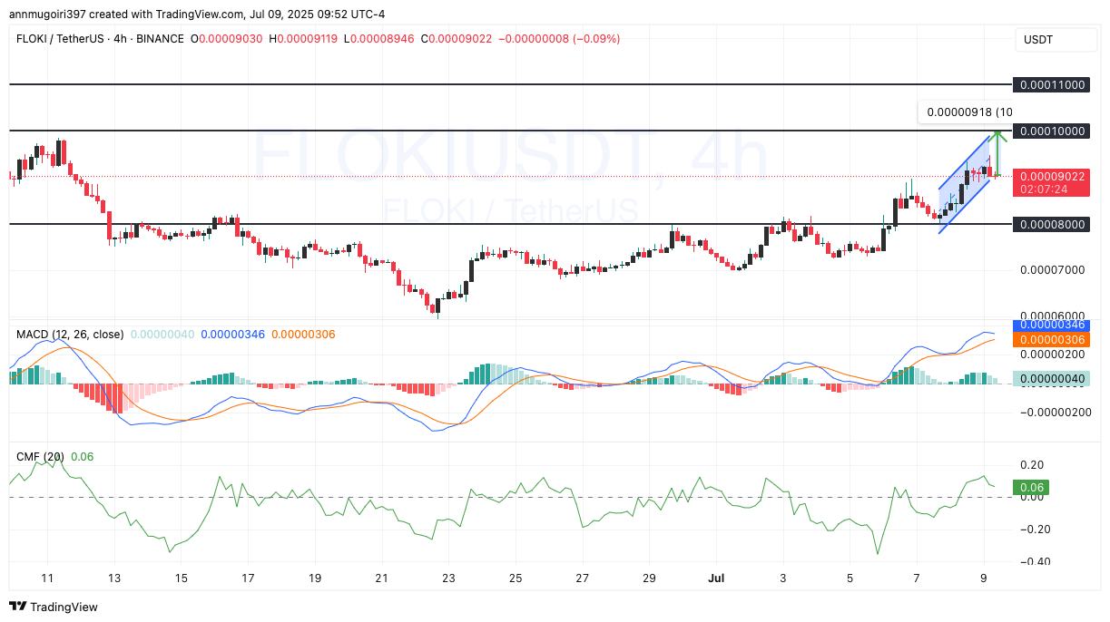 FLOKI/USD 4-hour chart