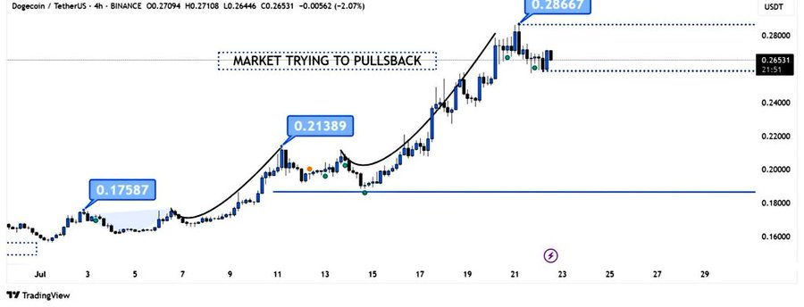 DOGE/USD 4-hour Chart 