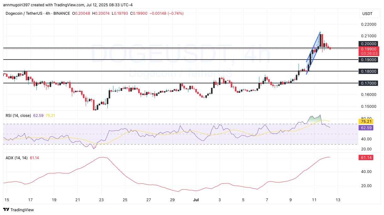 DOGE/USDT 4-hour price chart | Source: TradingView