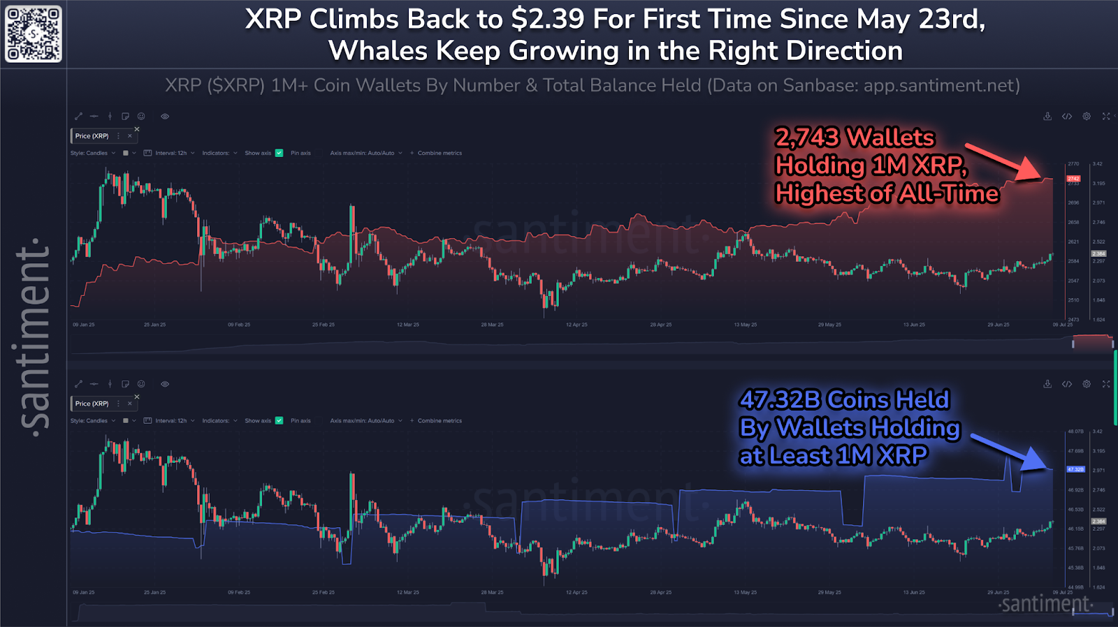 XRP Whales Number