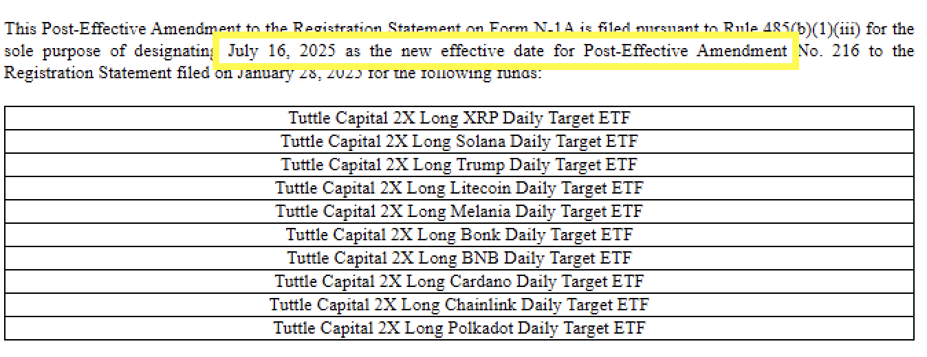 Turtle capital 2X Long XRP Daily