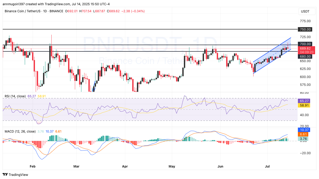 Daily BNB/USDT chart