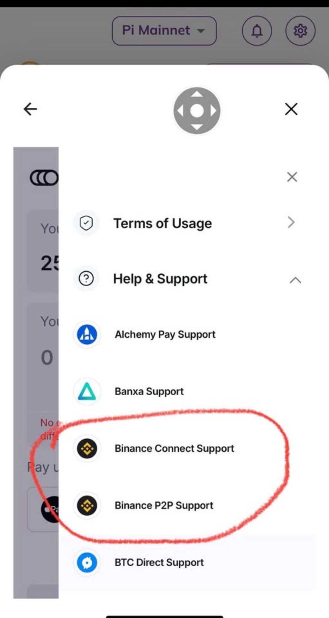 Pi Wallet Hints Binance Integration