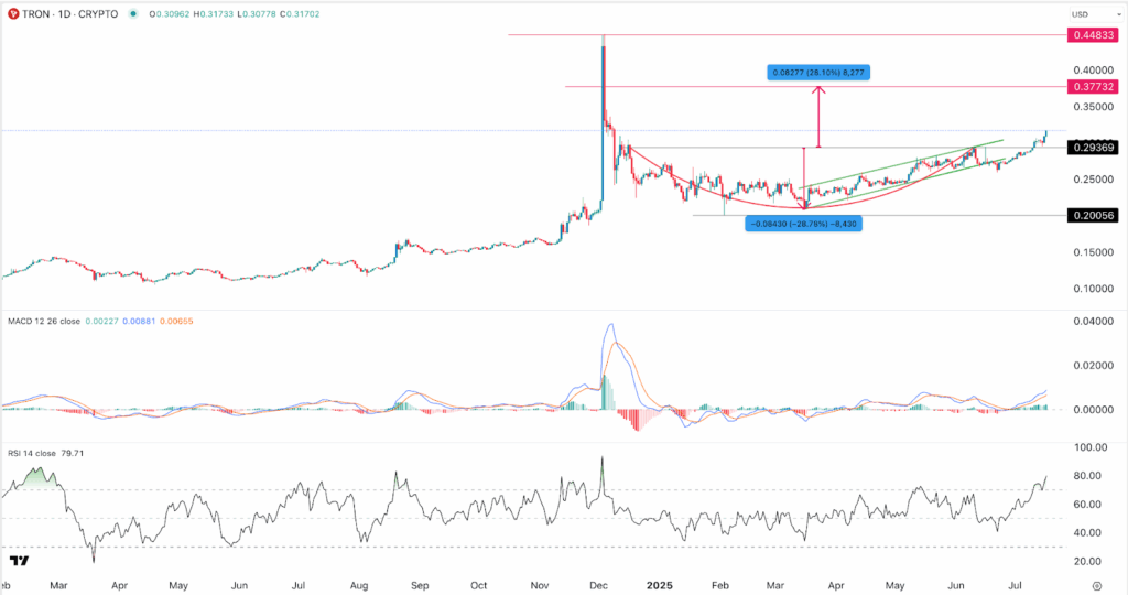 PEPE Coin Price 1-Day Chart 