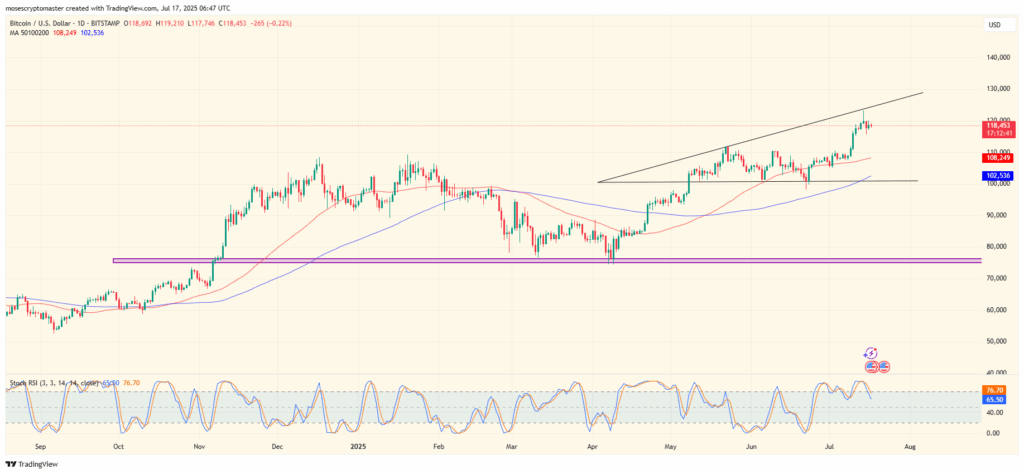 BTC/USD 1-day price chart