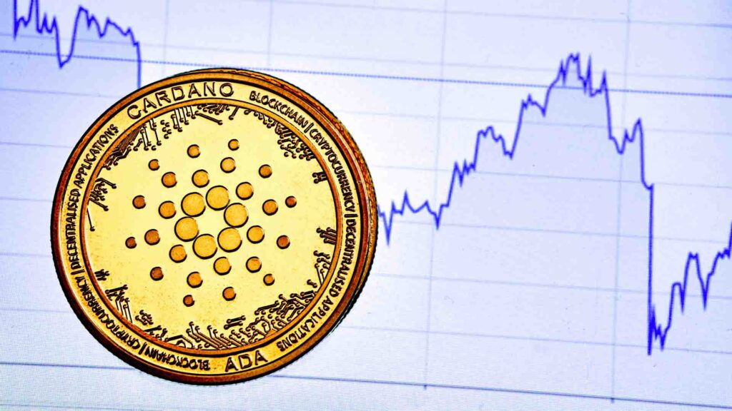 Cardano Price Retains 8% WTD Rally as Whale Accumulation Mounts