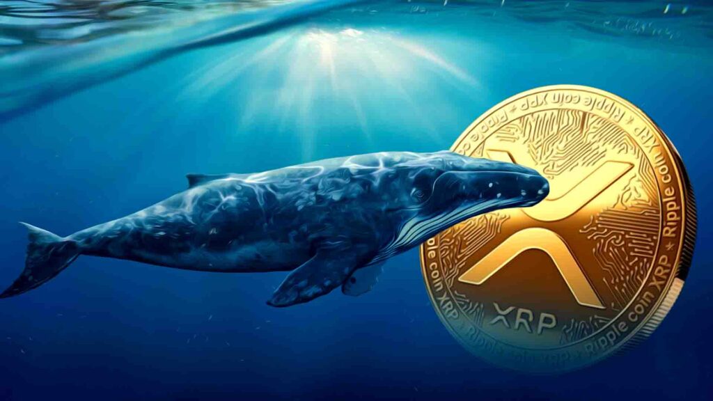 สัญญาณรูปแบบราคา XRP พุ่งสูงขึ้น ขณะที่ Brad Garlinghouse ทำนาย ETF