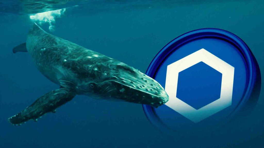 Les baleines à maillons font grimper les prix de 18 % en un jour