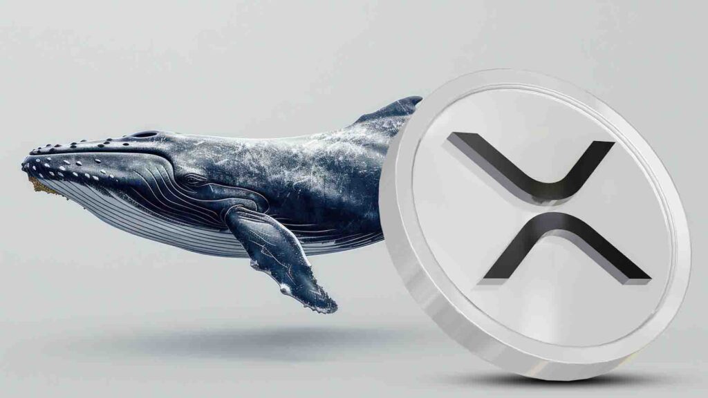 Новости XRP: Киты Ripple сбрасывают 710 миллионов, поскольку цена стремится к $2,50
