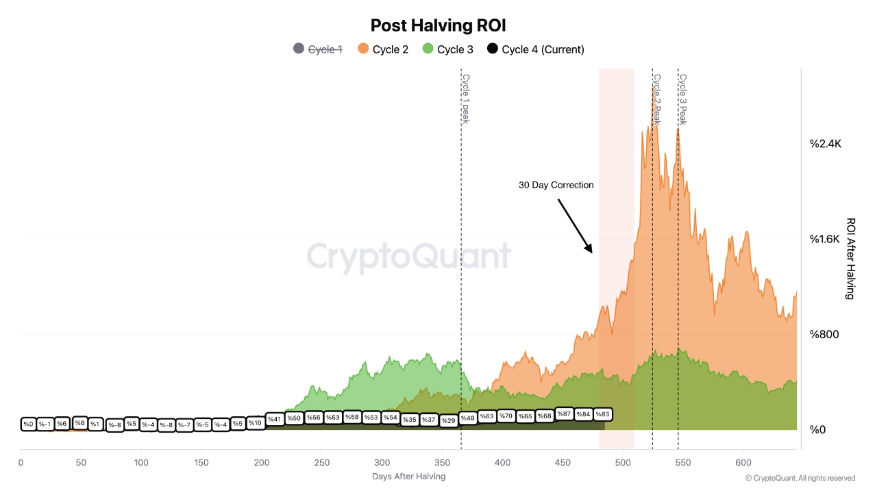 Bitcoin Post-Halving Cycle