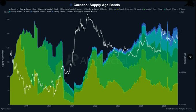 Cardano Supply Age Band
