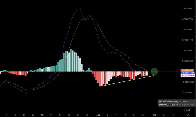 MACD Golden Cross 