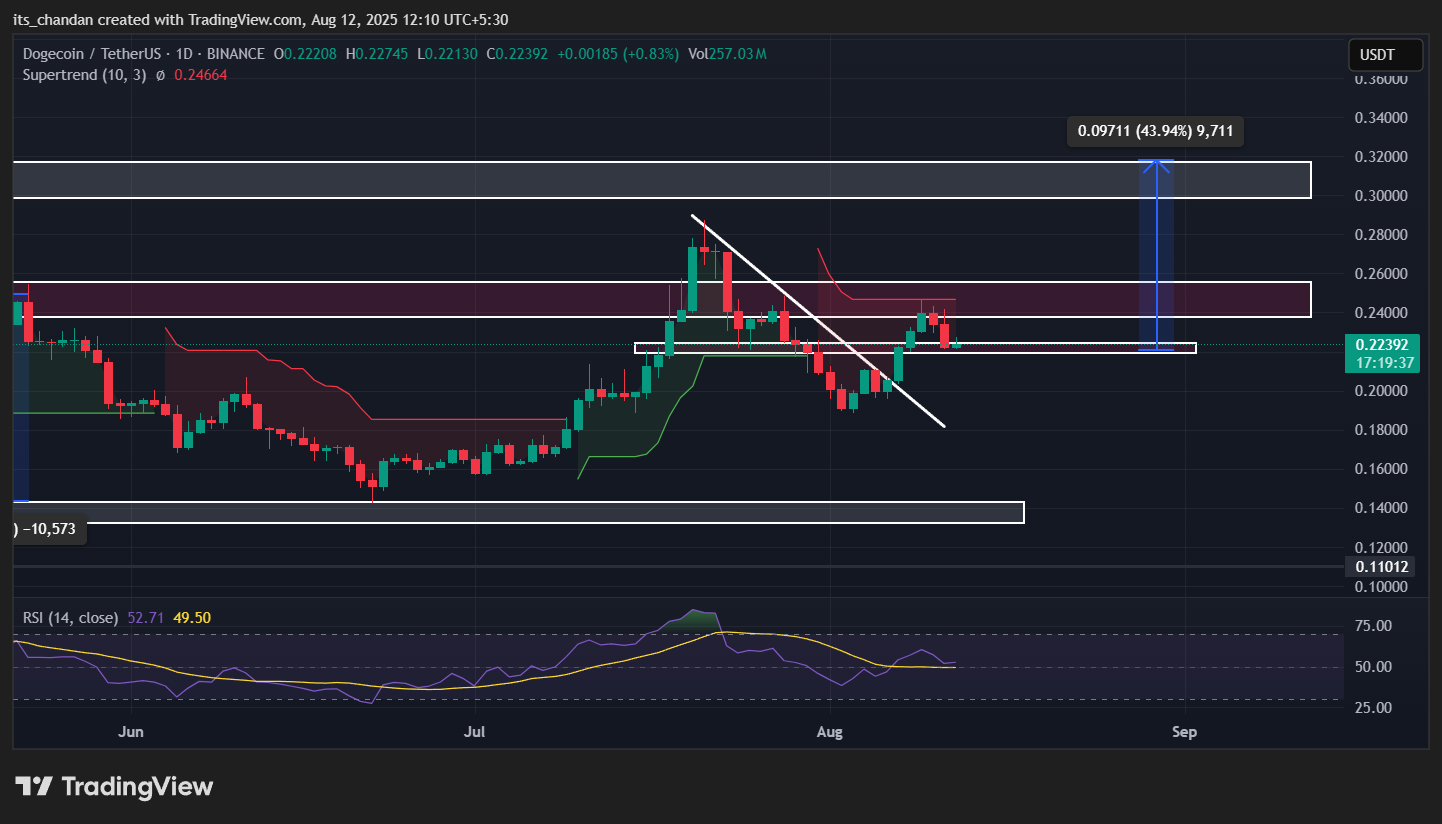 DOGEUSDT Daily Chart