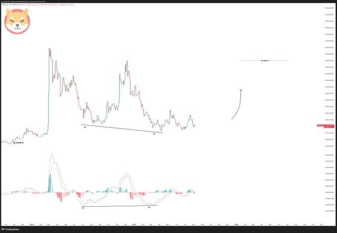 Shiba Inu Price Prediction Chart