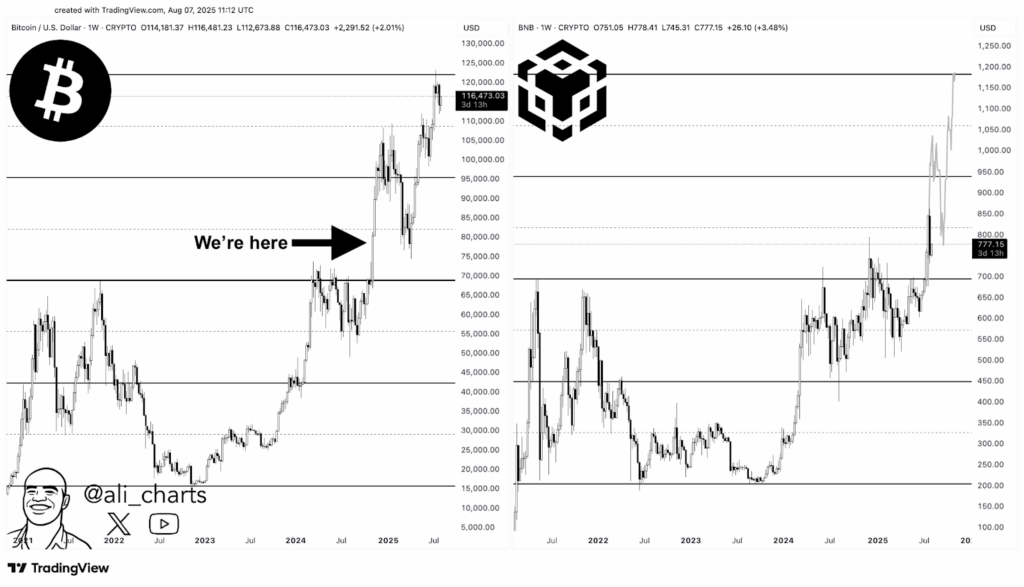 BNBUSD 1-WEEK Chart 