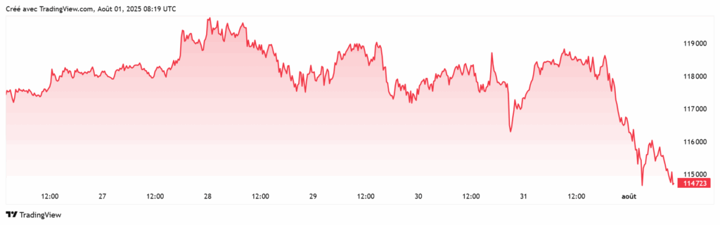 Bitcoin chute