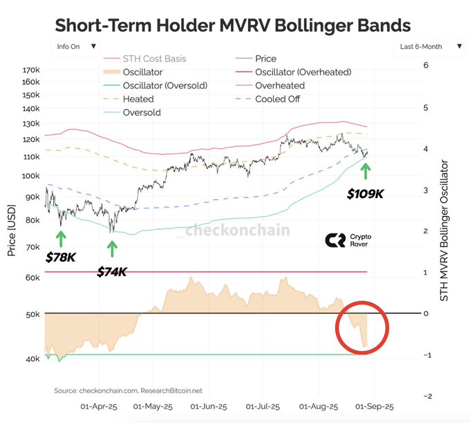 Bitcoin short term holder MVRV Bollinger bands