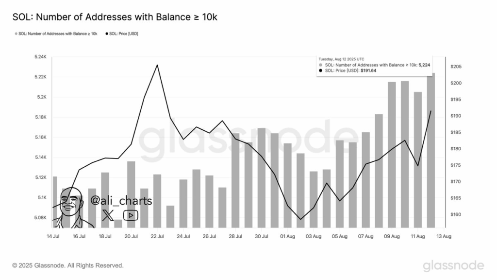 SOL: Number of Addresses with Balance> 10k