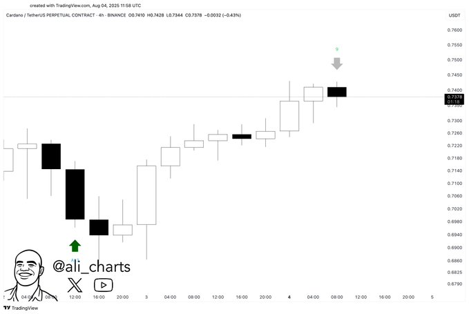 Gráfico del Contrato Perpetuo TetherUS