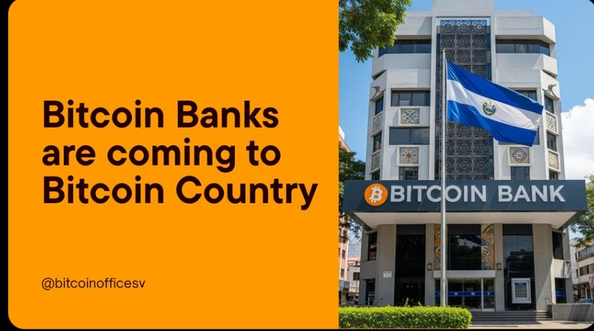 The Bitcoin Office