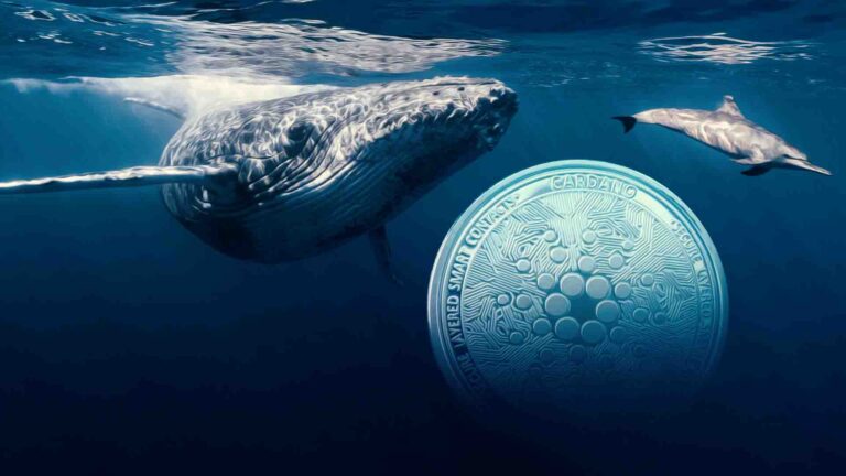 What Next for Cardano Price as Whales Buy 200 Million ADA