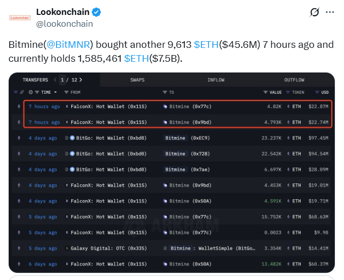 BitMine Ethereum Holdings Soar