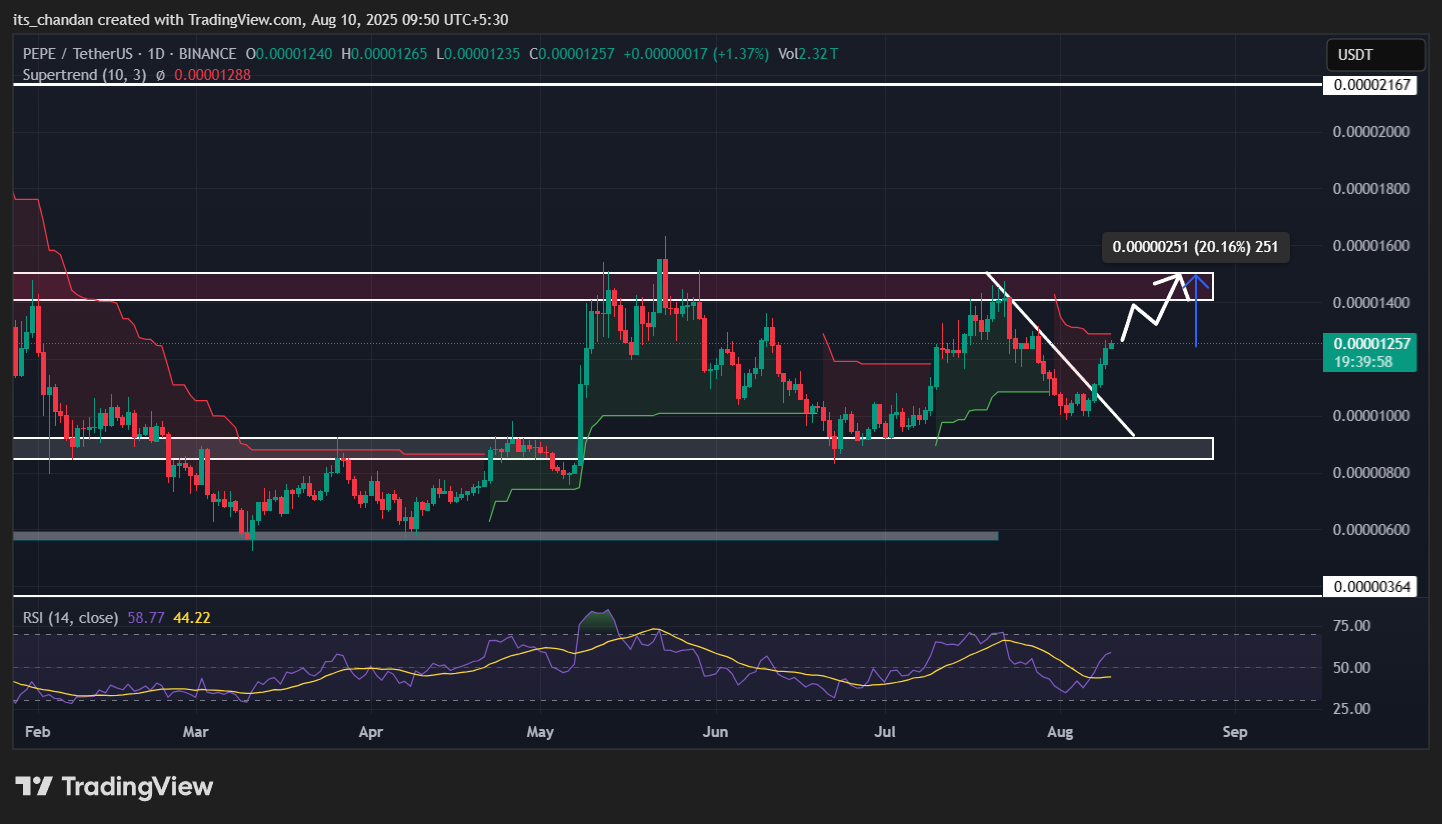 PEPEUSDT Daily Chart 