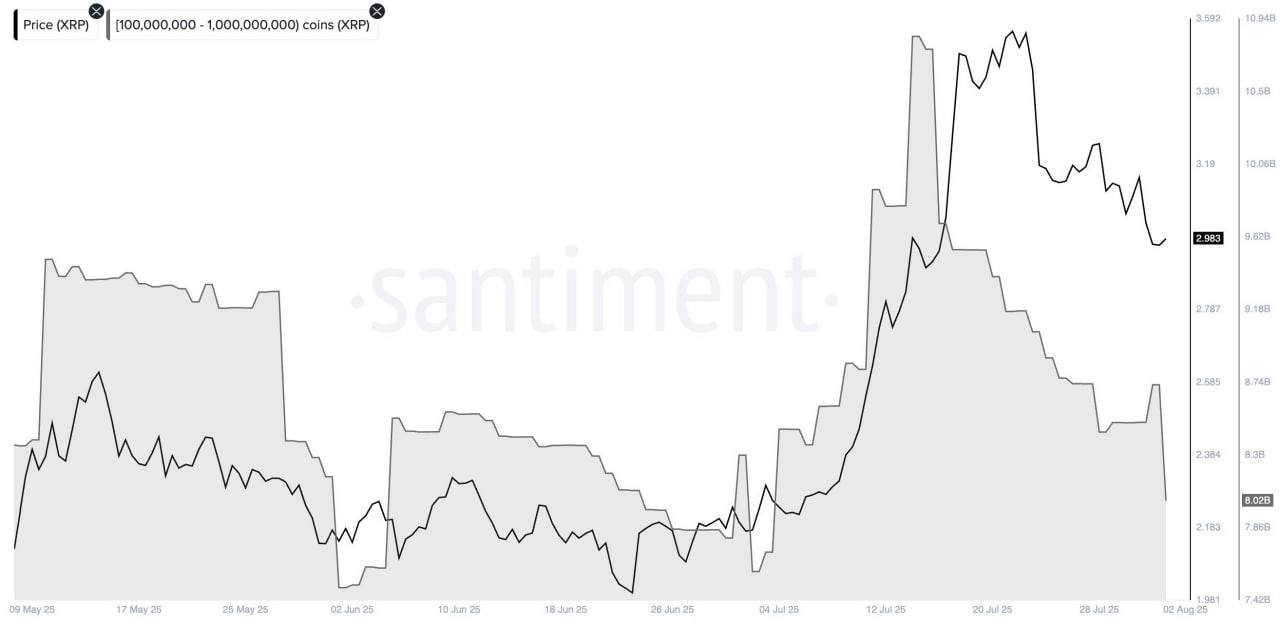 Ripple whale activity
