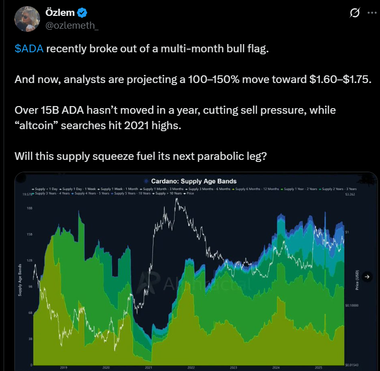 cardano price