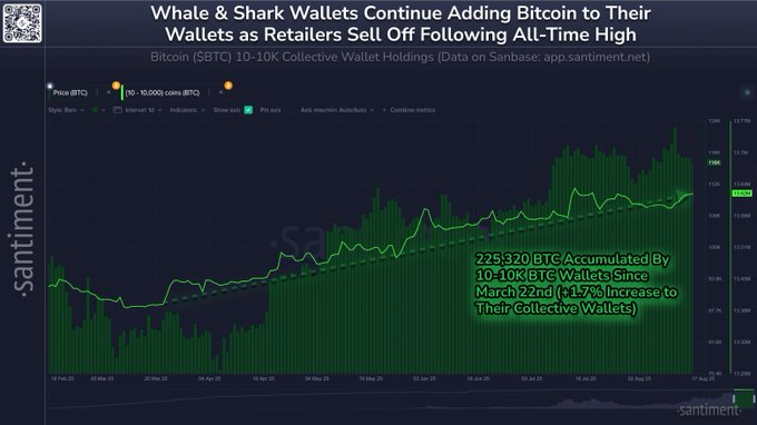 BITCOIN PRICE