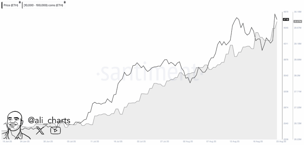 Ethereum Whale Data