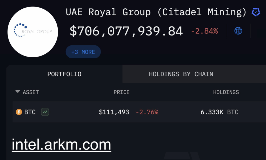 UAE Bitcoin holdings