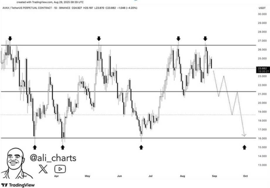 AVAX /USD 1D Chart