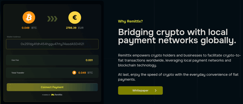 Remittix's payment network explained.