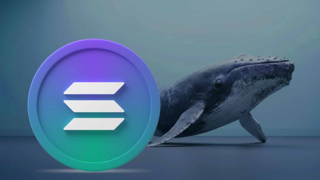 Solana Price Prediction: What’s Next For SOL As Whales Add Millions