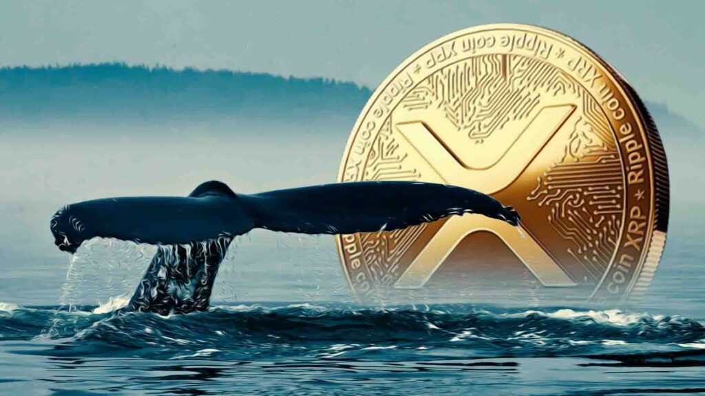 Новости XRP: Киты сбрасывают 40 миллионов, а DTCC спокойно выводит на биржу XRP ETF от Canary